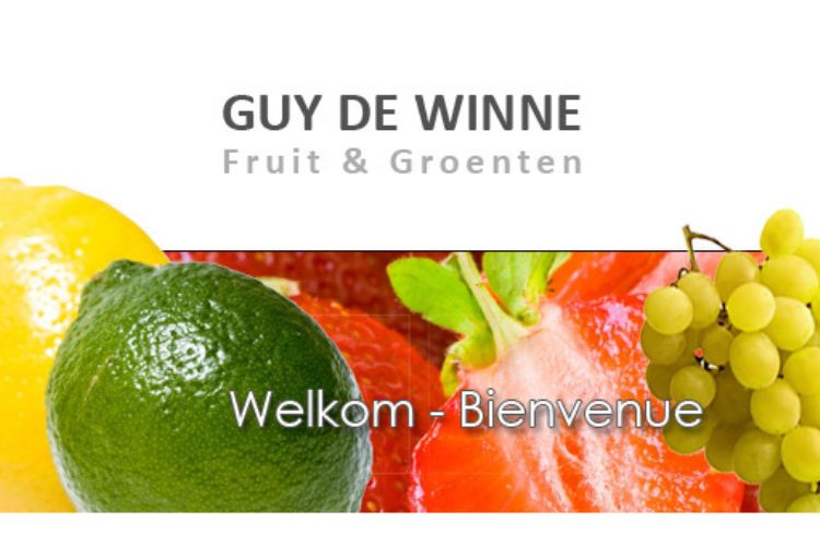 Guy De Winne